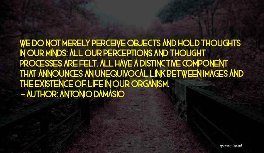 Antonio Damasio Quotes: We Do Not Merely Perceive Objects And Hold Thoughts In Our Minds: All Our Perceptions And Thought Processes Are Felt.