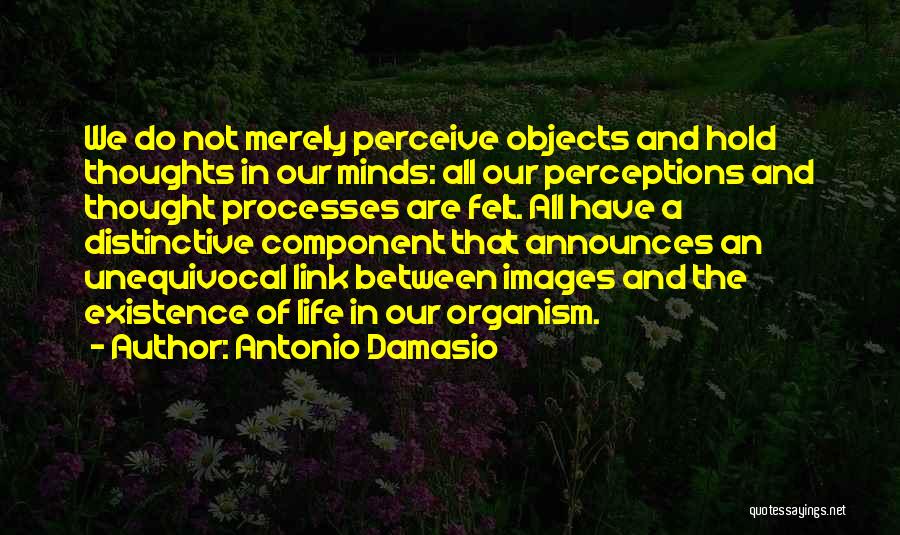 Antonio Damasio Quotes: We Do Not Merely Perceive Objects And Hold Thoughts In Our Minds: All Our Perceptions And Thought Processes Are Felt.