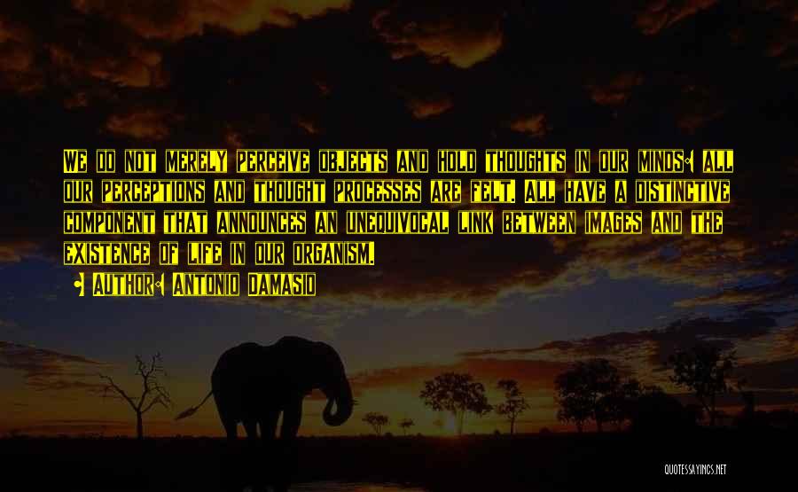 Antonio Damasio Quotes: We Do Not Merely Perceive Objects And Hold Thoughts In Our Minds: All Our Perceptions And Thought Processes Are Felt.