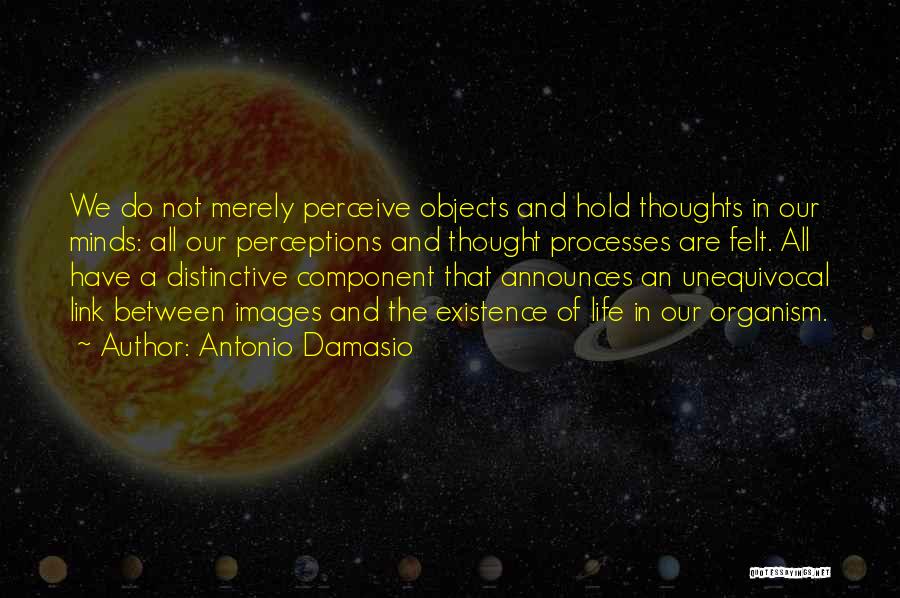 Antonio Damasio Quotes: We Do Not Merely Perceive Objects And Hold Thoughts In Our Minds: All Our Perceptions And Thought Processes Are Felt.