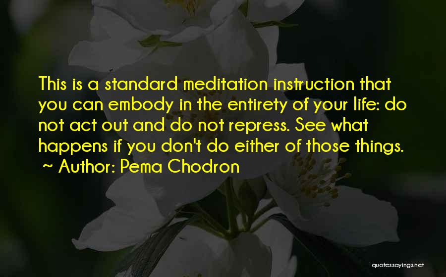 Pema Chodron Quotes: This Is A Standard Meditation Instruction That You Can Embody In The Entirety Of Your Life: Do Not Act Out