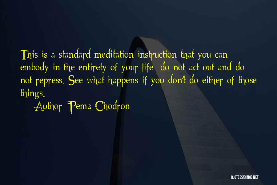 Pema Chodron Quotes: This Is A Standard Meditation Instruction That You Can Embody In The Entirety Of Your Life: Do Not Act Out