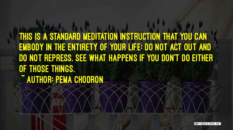 Pema Chodron Quotes: This Is A Standard Meditation Instruction That You Can Embody In The Entirety Of Your Life: Do Not Act Out