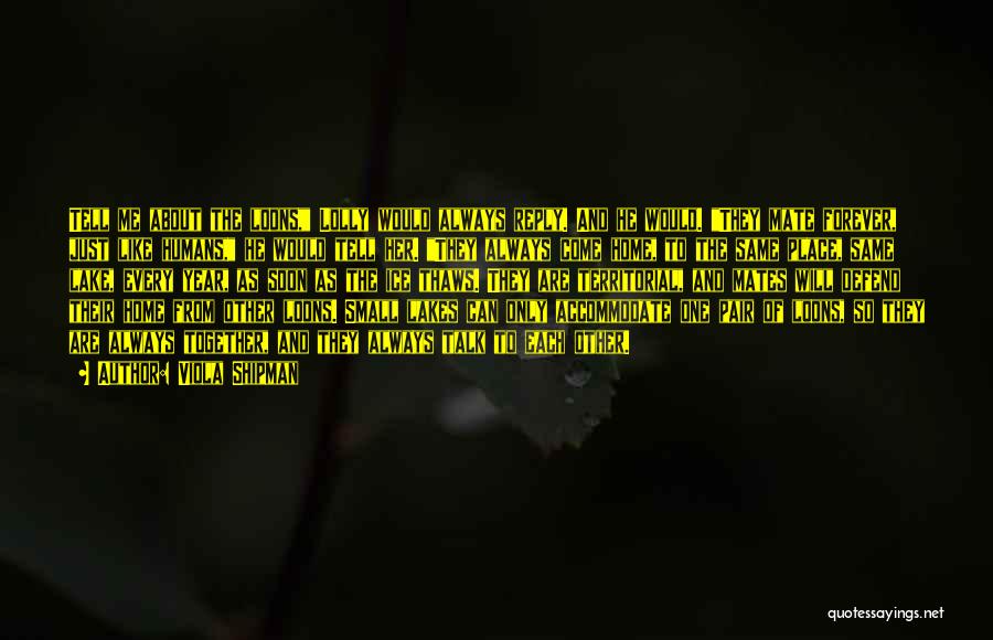 Viola Shipman Quotes: Tell Me About The Loons, Lolly Would Always Reply. And He Would. They Mate Forever, Just Like Humans, He Would
