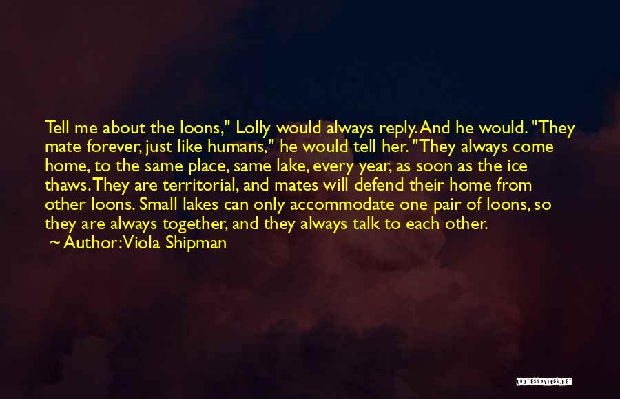 Viola Shipman Quotes: Tell Me About The Loons, Lolly Would Always Reply. And He Would. They Mate Forever, Just Like Humans, He Would