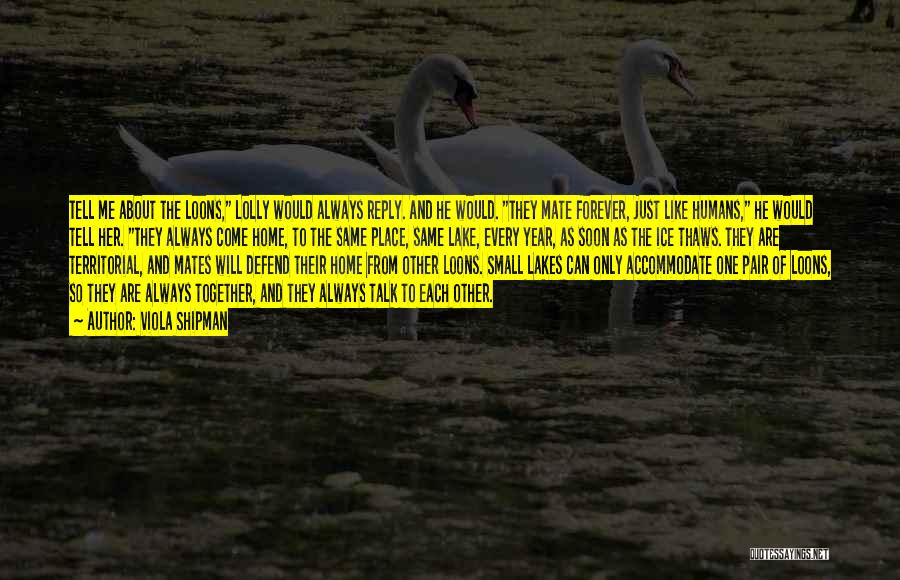 Viola Shipman Quotes: Tell Me About The Loons, Lolly Would Always Reply. And He Would. They Mate Forever, Just Like Humans, He Would