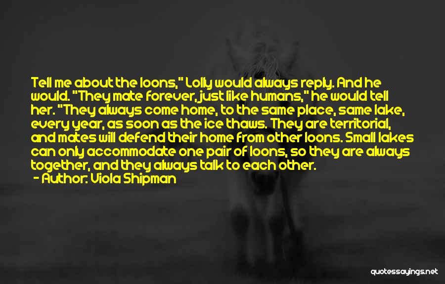 Viola Shipman Quotes: Tell Me About The Loons, Lolly Would Always Reply. And He Would. They Mate Forever, Just Like Humans, He Would