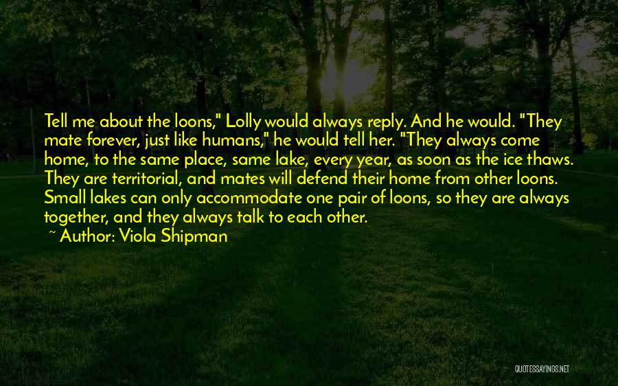 Viola Shipman Quotes: Tell Me About The Loons, Lolly Would Always Reply. And He Would. They Mate Forever, Just Like Humans, He Would