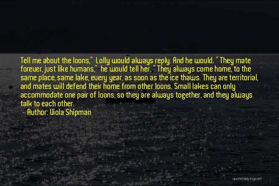 Viola Shipman Quotes: Tell Me About The Loons, Lolly Would Always Reply. And He Would. They Mate Forever, Just Like Humans, He Would