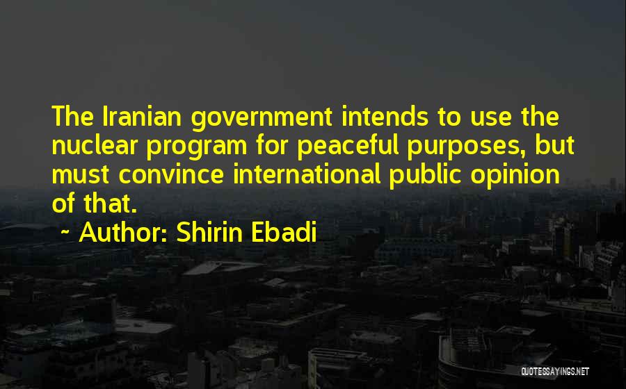 Shirin Ebadi Quotes: The Iranian Government Intends To Use The Nuclear Program For Peaceful Purposes, But Must Convince International Public Opinion Of That.