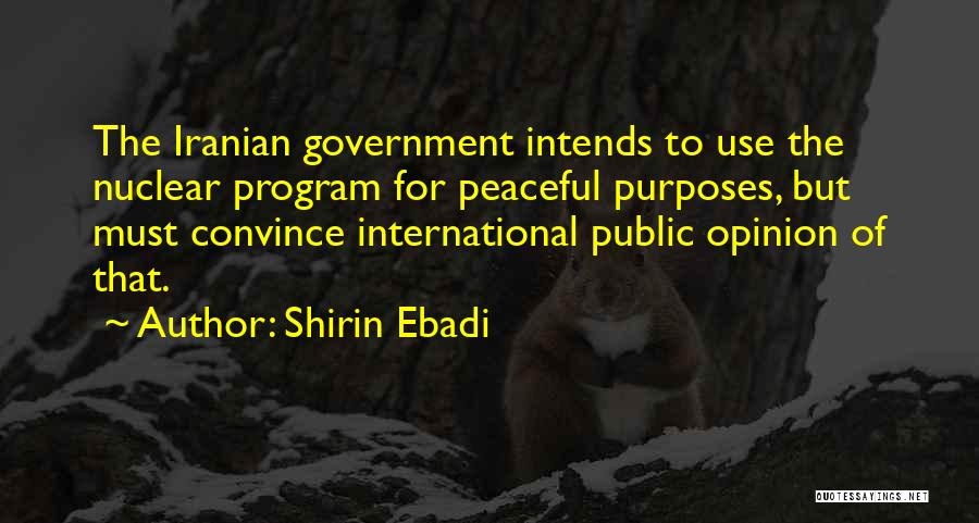 Shirin Ebadi Quotes: The Iranian Government Intends To Use The Nuclear Program For Peaceful Purposes, But Must Convince International Public Opinion Of That.