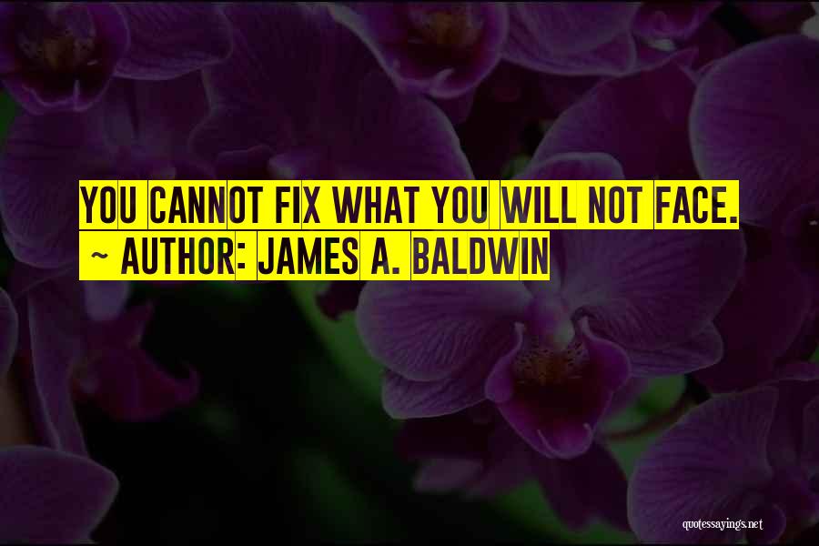 James A. Baldwin Quotes: You Cannot Fix What You Will Not Face.