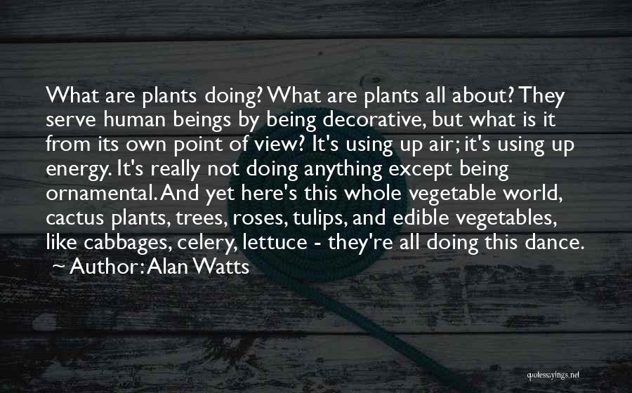 Alan Watts Quotes: What Are Plants Doing? What Are Plants All About? They Serve Human Beings By Being Decorative, But What Is It