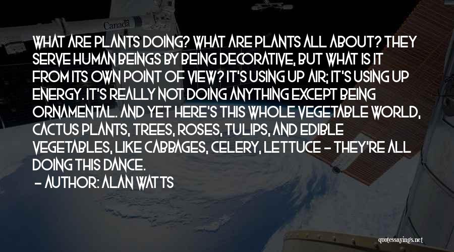 Alan Watts Quotes: What Are Plants Doing? What Are Plants All About? They Serve Human Beings By Being Decorative, But What Is It