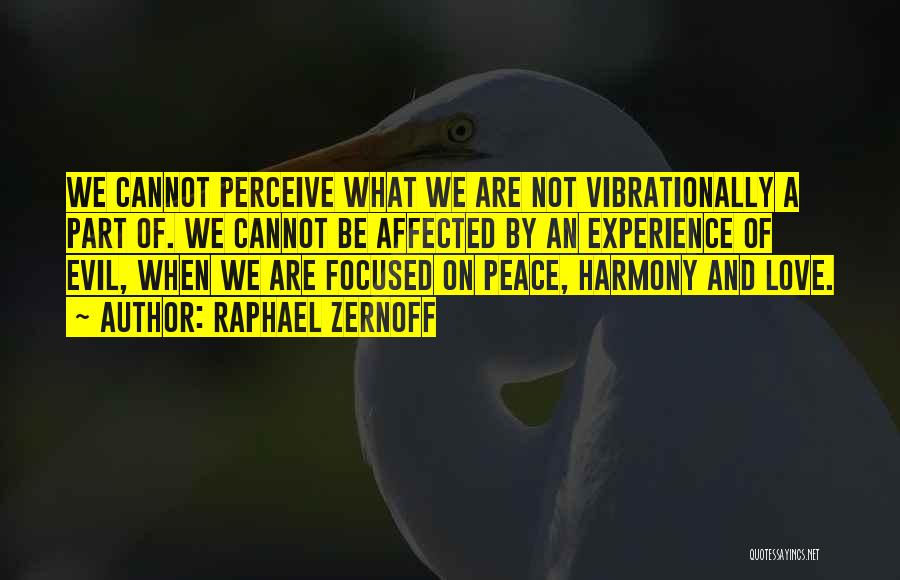 Raphael Zernoff Quotes: We Cannot Perceive What We Are Not Vibrationally A Part Of. We Cannot Be Affected By An Experience Of Evil,