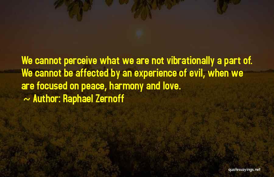 Raphael Zernoff Quotes: We Cannot Perceive What We Are Not Vibrationally A Part Of. We Cannot Be Affected By An Experience Of Evil,