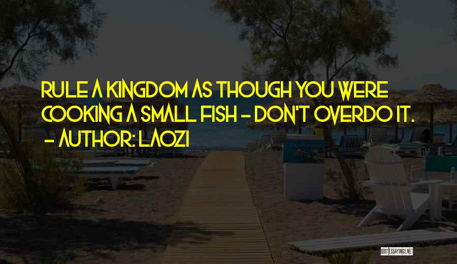 Laozi Quotes: Rule A Kingdom As Though You Were Cooking A Small Fish - Don't Overdo It.