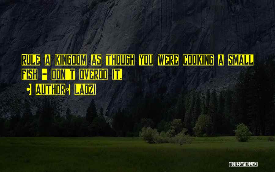 Laozi Quotes: Rule A Kingdom As Though You Were Cooking A Small Fish - Don't Overdo It.