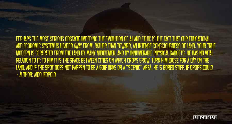 Aldo Leopold Quotes: Perhaps The Most Serious Obstacle Impeding The Evolution Of A Land Ethic Is The Fact That Our Educational And Economic