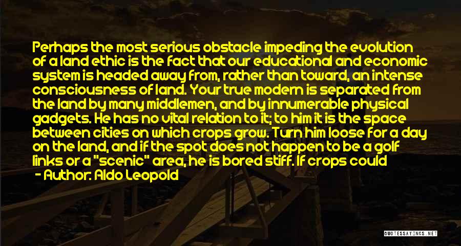 Aldo Leopold Quotes: Perhaps The Most Serious Obstacle Impeding The Evolution Of A Land Ethic Is The Fact That Our Educational And Economic