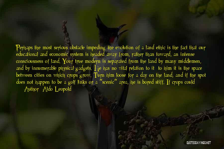 Aldo Leopold Quotes: Perhaps The Most Serious Obstacle Impeding The Evolution Of A Land Ethic Is The Fact That Our Educational And Economic