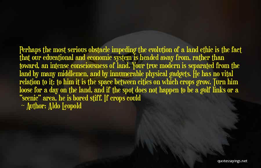 Aldo Leopold Quotes: Perhaps The Most Serious Obstacle Impeding The Evolution Of A Land Ethic Is The Fact That Our Educational And Economic