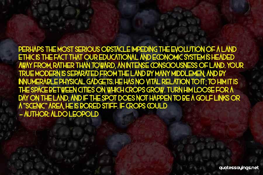 Aldo Leopold Quotes: Perhaps The Most Serious Obstacle Impeding The Evolution Of A Land Ethic Is The Fact That Our Educational And Economic