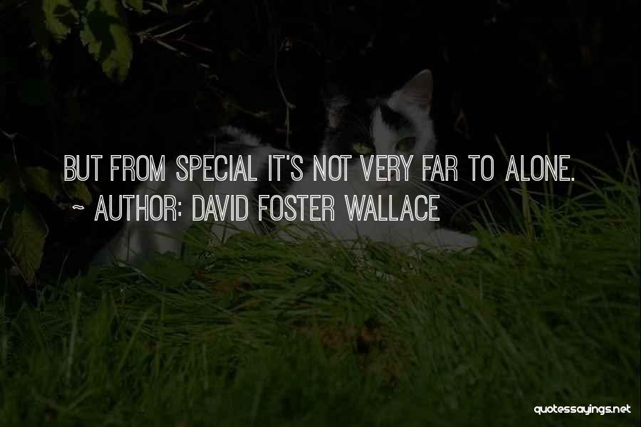 David Foster Wallace Quotes: But From Special It's Not Very Far To Alone.
