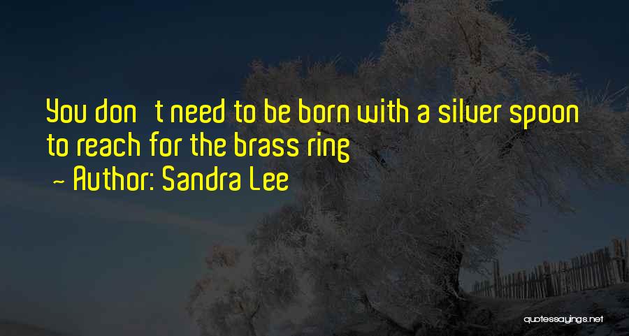 Sandra Lee Quotes: You Don't Need To Be Born With A Silver Spoon To Reach For The Brass Ring