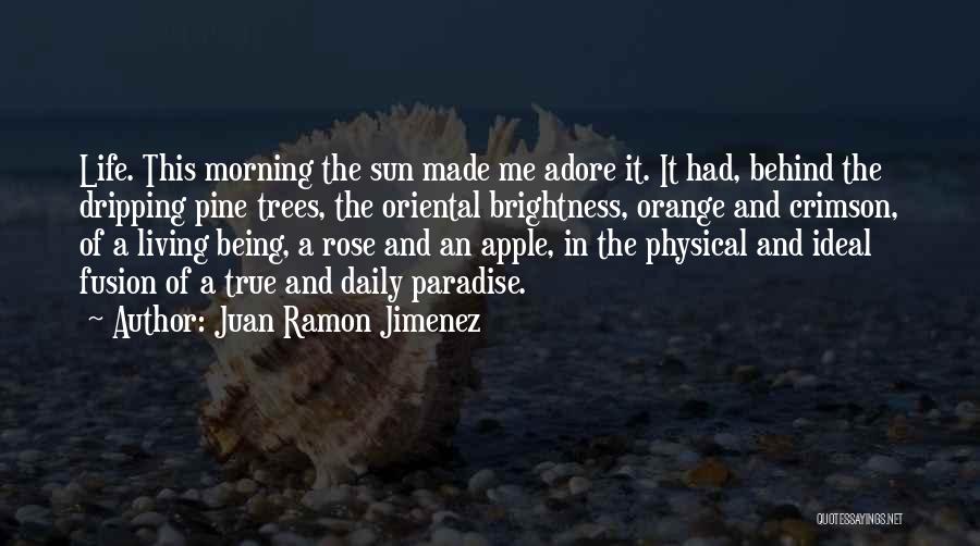 Juan Ramon Jimenez Quotes: Life. This Morning The Sun Made Me Adore It. It Had, Behind The Dripping Pine Trees, The Oriental Brightness, Orange