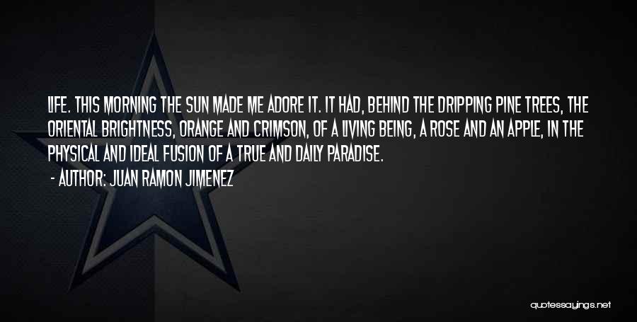 Juan Ramon Jimenez Quotes: Life. This Morning The Sun Made Me Adore It. It Had, Behind The Dripping Pine Trees, The Oriental Brightness, Orange