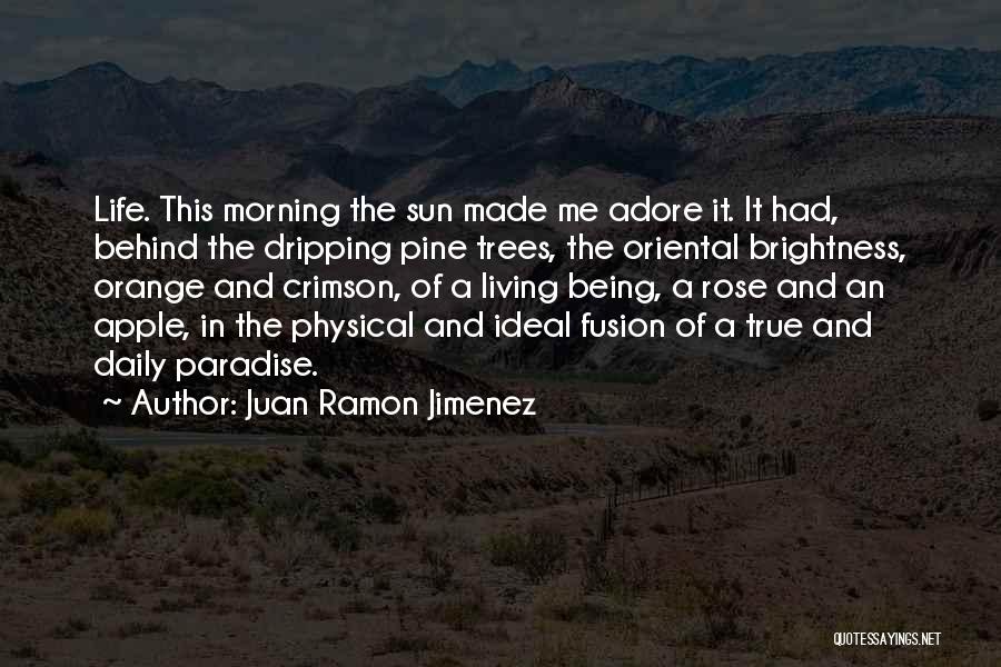 Juan Ramon Jimenez Quotes: Life. This Morning The Sun Made Me Adore It. It Had, Behind The Dripping Pine Trees, The Oriental Brightness, Orange