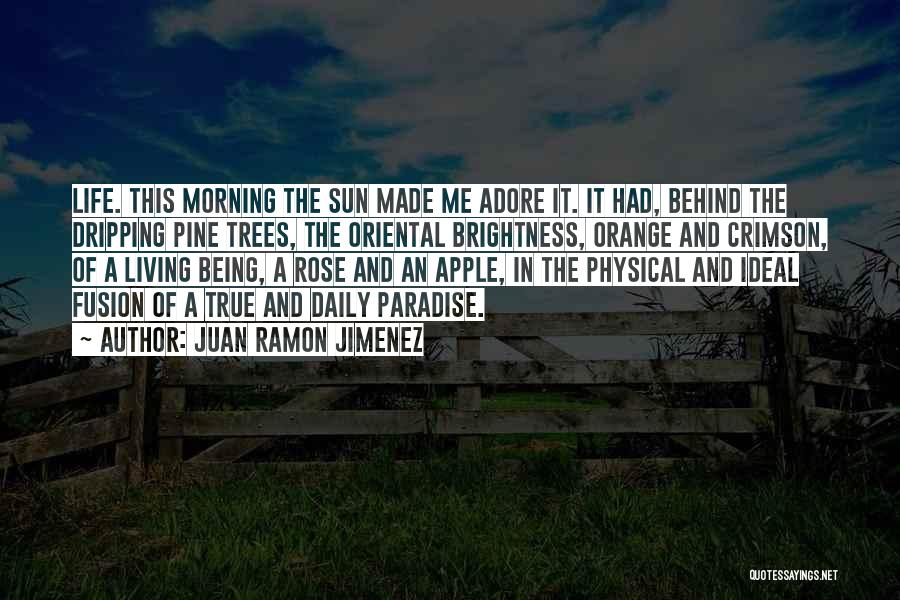 Juan Ramon Jimenez Quotes: Life. This Morning The Sun Made Me Adore It. It Had, Behind The Dripping Pine Trees, The Oriental Brightness, Orange