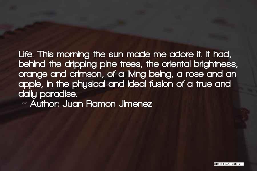 Juan Ramon Jimenez Quotes: Life. This Morning The Sun Made Me Adore It. It Had, Behind The Dripping Pine Trees, The Oriental Brightness, Orange