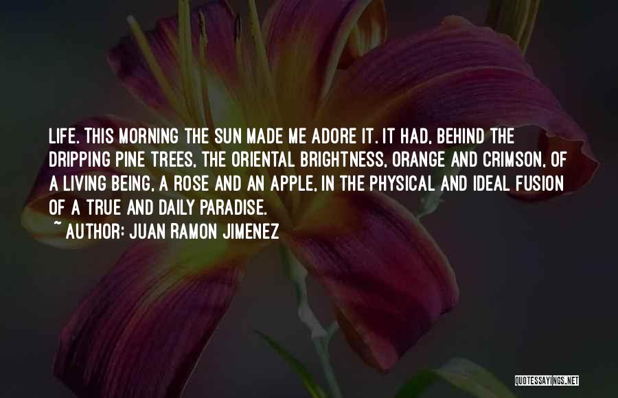 Juan Ramon Jimenez Quotes: Life. This Morning The Sun Made Me Adore It. It Had, Behind The Dripping Pine Trees, The Oriental Brightness, Orange