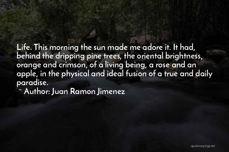 Juan Ramon Jimenez Quotes: Life. This Morning The Sun Made Me Adore It. It Had, Behind The Dripping Pine Trees, The Oriental Brightness, Orange