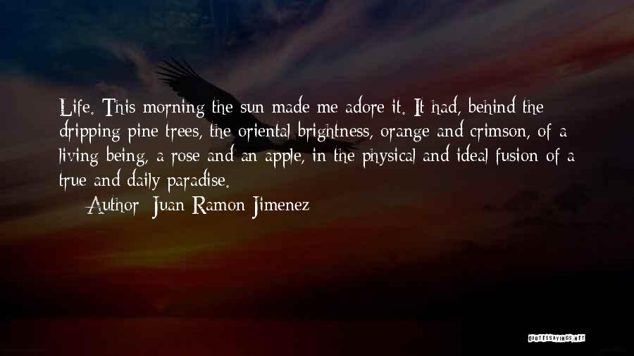 Juan Ramon Jimenez Quotes: Life. This Morning The Sun Made Me Adore It. It Had, Behind The Dripping Pine Trees, The Oriental Brightness, Orange