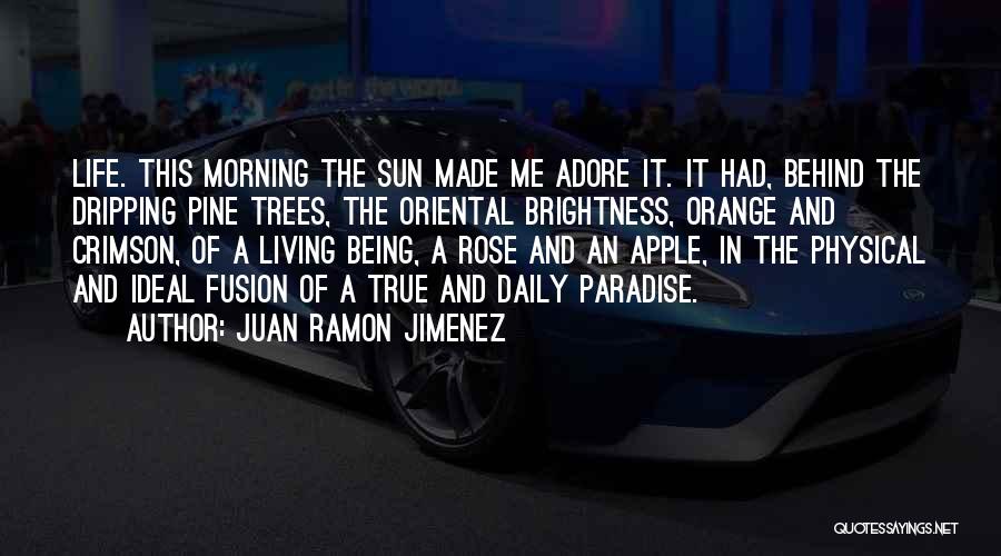 Juan Ramon Jimenez Quotes: Life. This Morning The Sun Made Me Adore It. It Had, Behind The Dripping Pine Trees, The Oriental Brightness, Orange