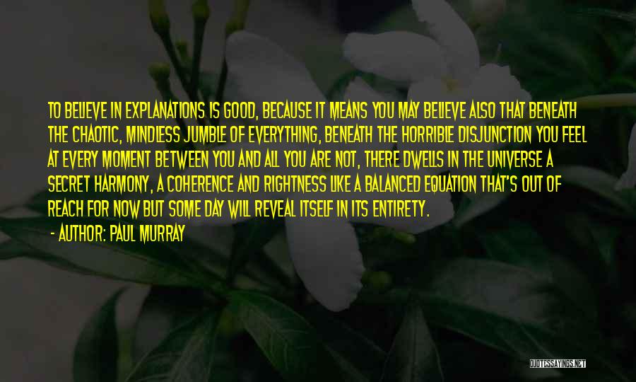 Paul Murray Quotes: To Believe In Explanations Is Good, Because It Means You May Believe Also That Beneath The Chaotic, Mindless Jumble Of