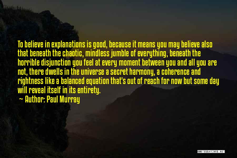 Paul Murray Quotes: To Believe In Explanations Is Good, Because It Means You May Believe Also That Beneath The Chaotic, Mindless Jumble Of