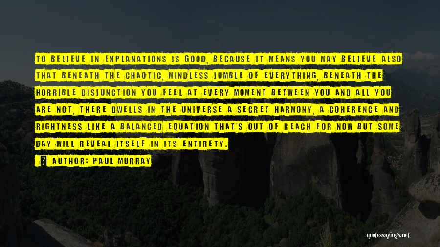 Paul Murray Quotes: To Believe In Explanations Is Good, Because It Means You May Believe Also That Beneath The Chaotic, Mindless Jumble Of