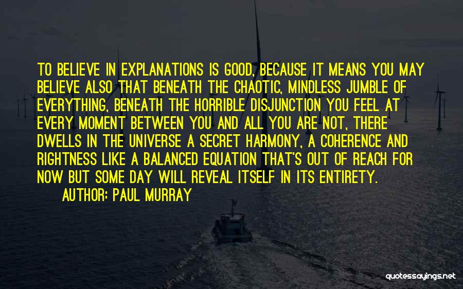 Paul Murray Quotes: To Believe In Explanations Is Good, Because It Means You May Believe Also That Beneath The Chaotic, Mindless Jumble Of