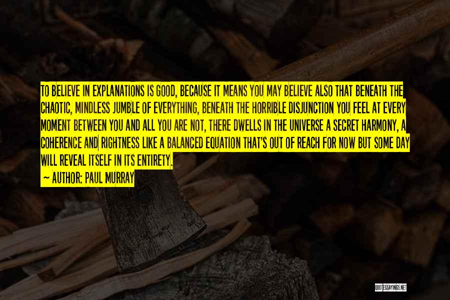 Paul Murray Quotes: To Believe In Explanations Is Good, Because It Means You May Believe Also That Beneath The Chaotic, Mindless Jumble Of