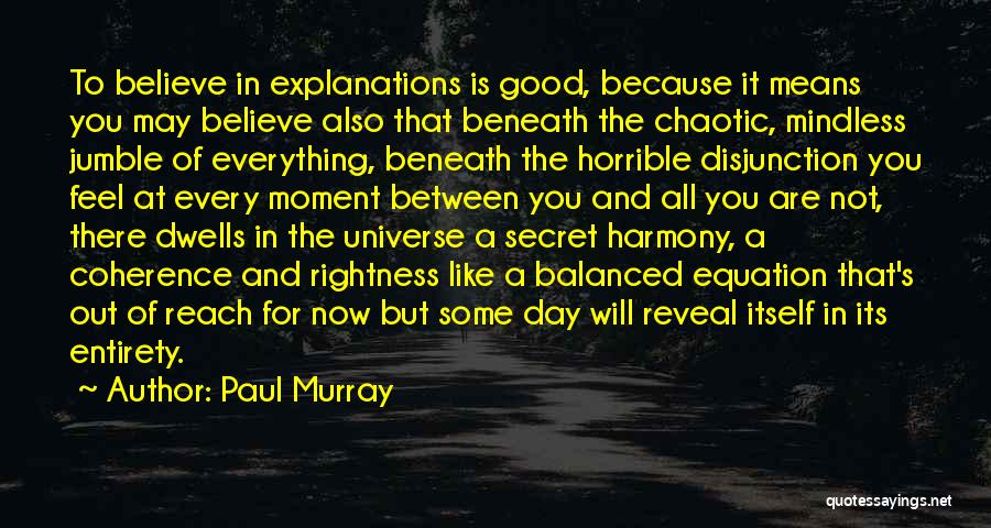 Paul Murray Quotes: To Believe In Explanations Is Good, Because It Means You May Believe Also That Beneath The Chaotic, Mindless Jumble Of