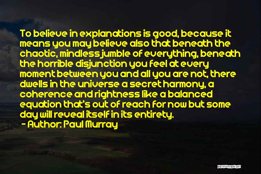 Paul Murray Quotes: To Believe In Explanations Is Good, Because It Means You May Believe Also That Beneath The Chaotic, Mindless Jumble Of