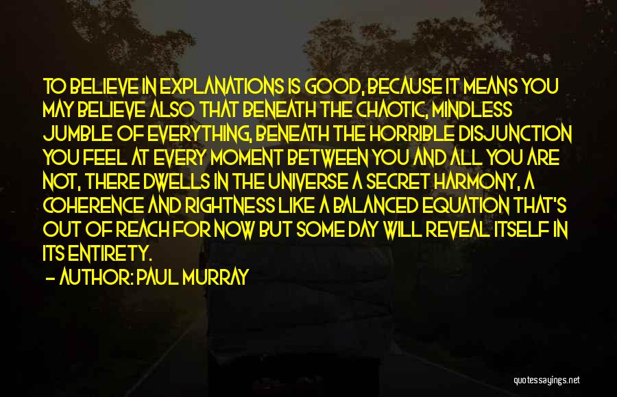 Paul Murray Quotes: To Believe In Explanations Is Good, Because It Means You May Believe Also That Beneath The Chaotic, Mindless Jumble Of