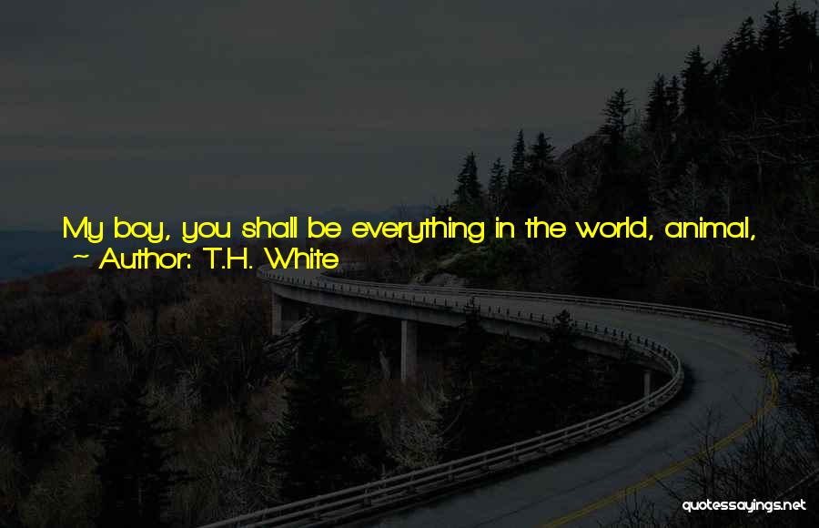 T.H. White Quotes: My Boy, You Shall Be Everything In The World, Animal, Vegetable, Mineral, Protista, Or Virus, For All I Care-before I