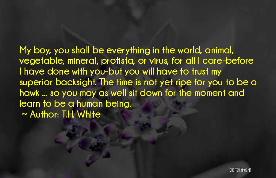 T.H. White Quotes: My Boy, You Shall Be Everything In The World, Animal, Vegetable, Mineral, Protista, Or Virus, For All I Care-before I