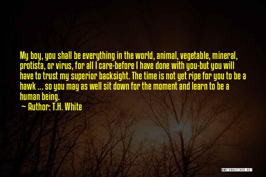 T.H. White Quotes: My Boy, You Shall Be Everything In The World, Animal, Vegetable, Mineral, Protista, Or Virus, For All I Care-before I