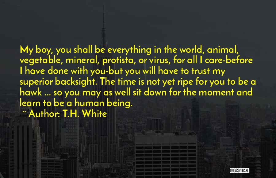 T.H. White Quotes: My Boy, You Shall Be Everything In The World, Animal, Vegetable, Mineral, Protista, Or Virus, For All I Care-before I